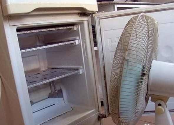 冰箱里面放1物，轻松搞定冰箱结冰问题，每月电费省100